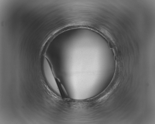 X0000073510781200608281706