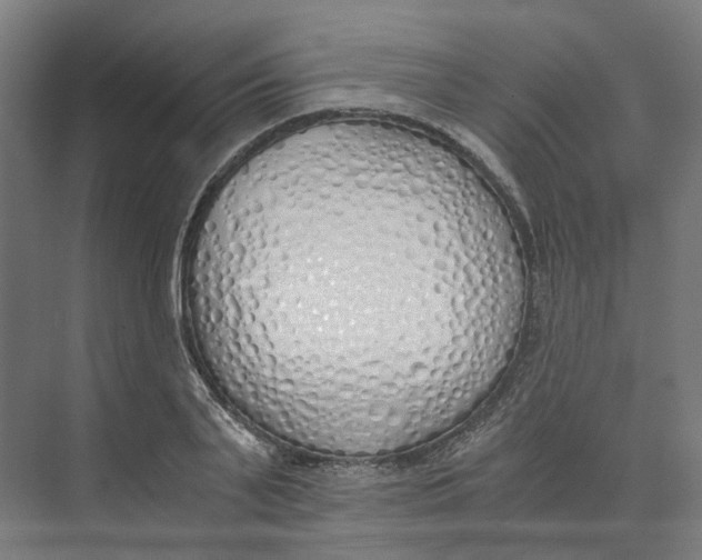 X0000073510791200608281706