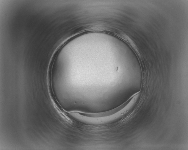 X0000073510795200608281706