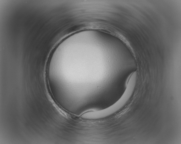 X0000073510803200608281706