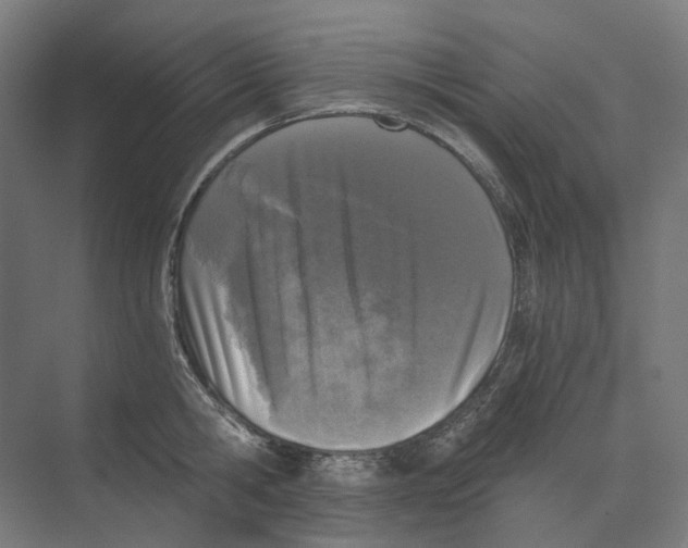 X0000073510806200608281705