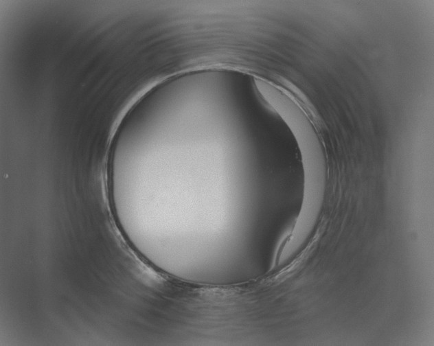 X0000073510812200608281705