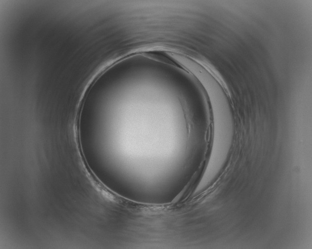 X0000073510813200608281705