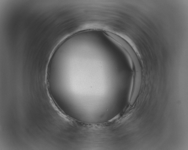 X0000073510815200608281705
