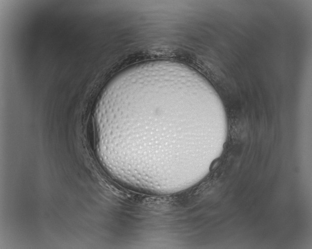 X0000073510817200608281705