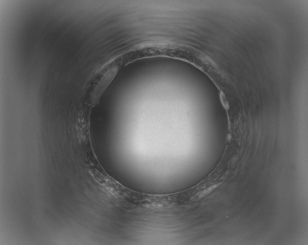 X0000073510822200608281705