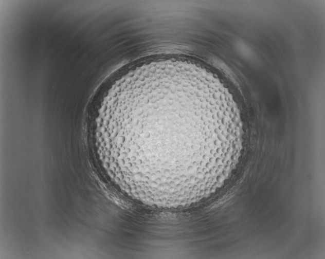 X0000073510827200608281705