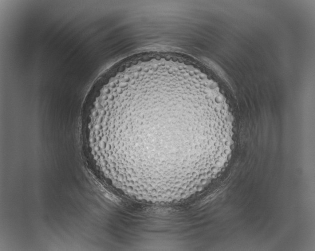 X0000073510831200608281705