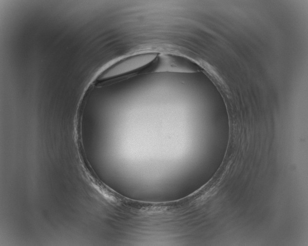 X0000073510846200608281705