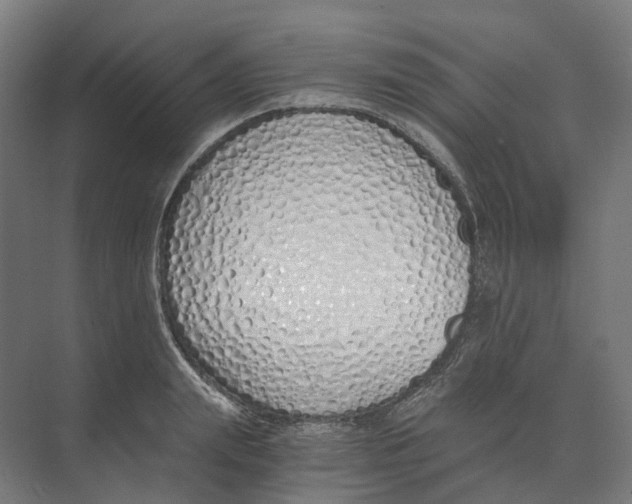 X0000073510847200608281705