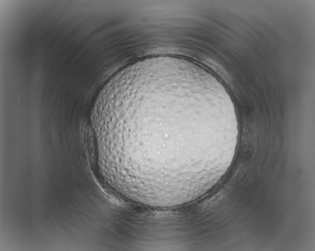 X0000073510849200608281705
