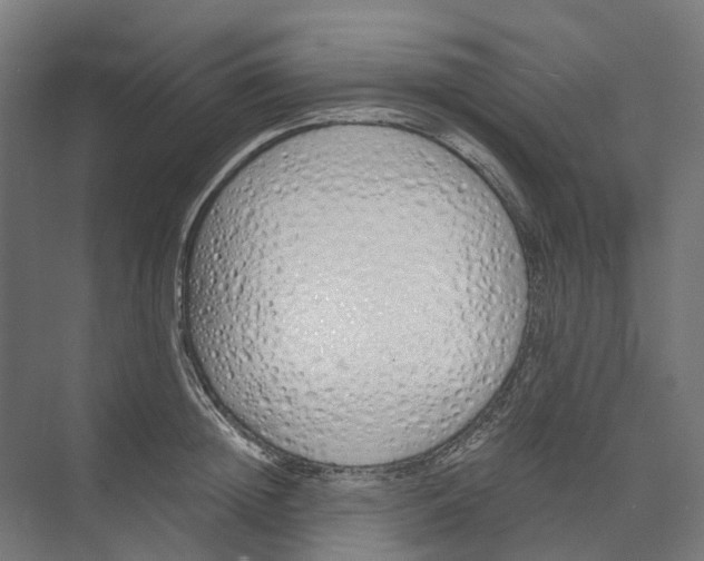 X0000073510852200608281705