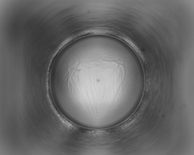 X0000073510853200608281705