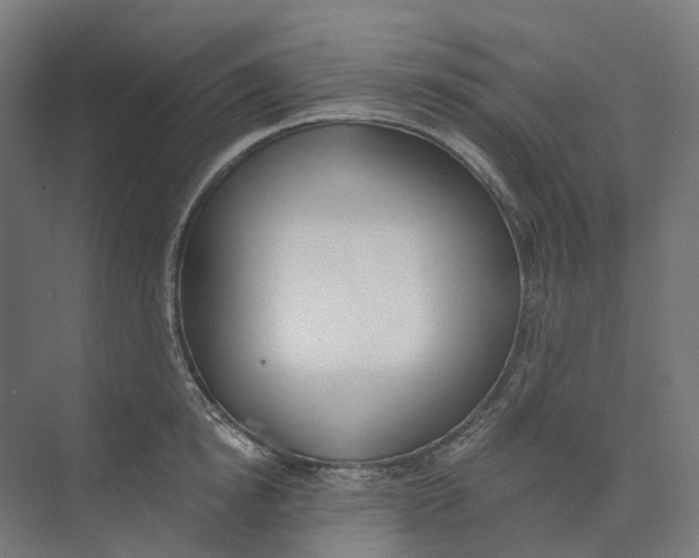 X0000073510854200608281705