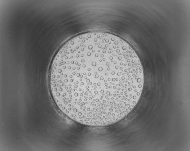 X0000073510856200608281705