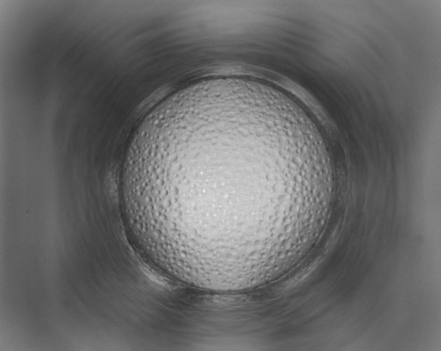 X0000073510857200608281705