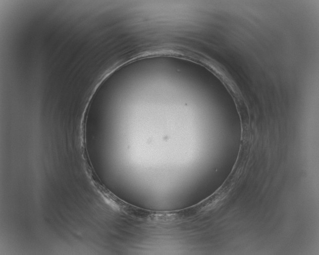 X0000073510858200608281705