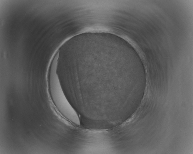 X0000073510864200608281705