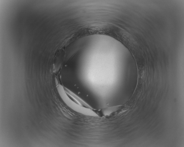 X0000073510868200608281704