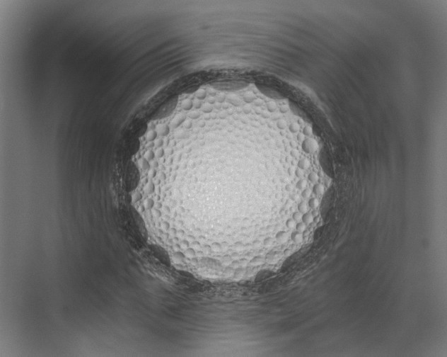X0000073510871200608281704