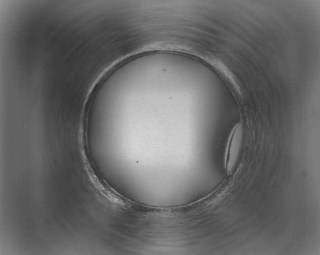 X0000073510896200608281704