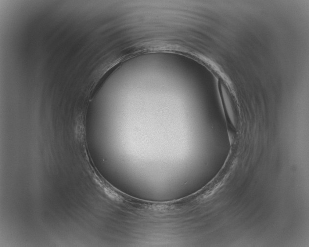 X0000073510897200608281704