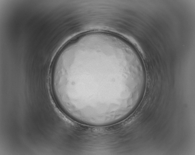 X0000073510903200608281704