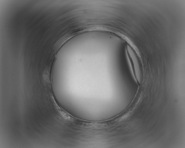 X0000073510905200608281704