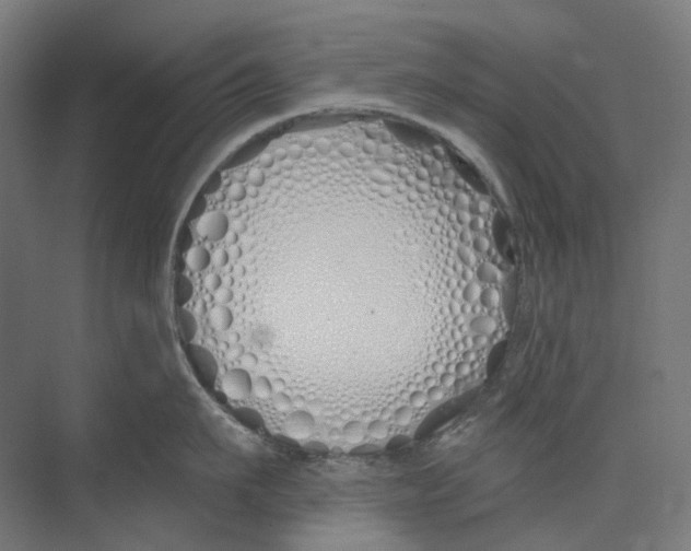 X0000073510911200608281704