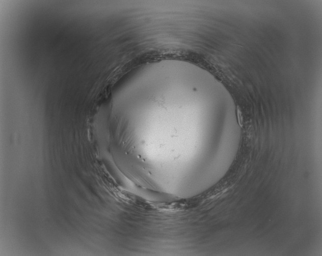 X0000073510916200608281703