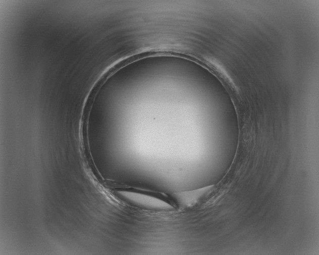 X0000073510932200608281703