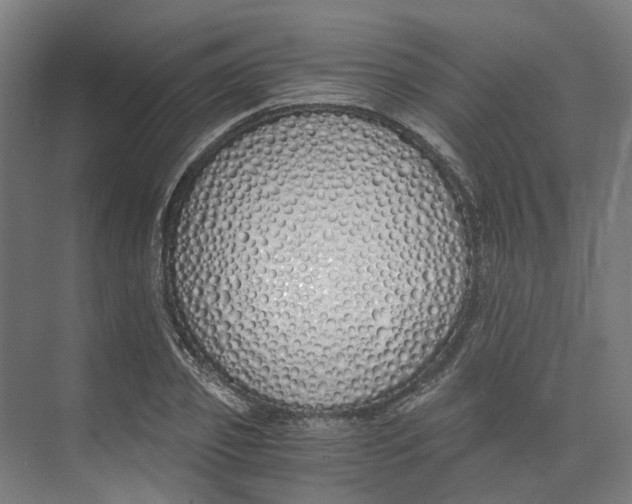 X0000073510933200608281703