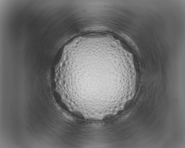 X0000073510937200608281703