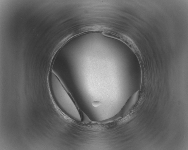 X0000073510946200608281703