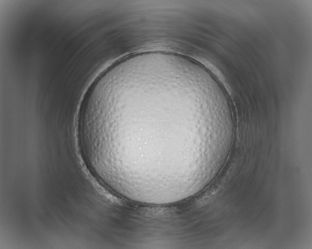X0000073510949200608281704