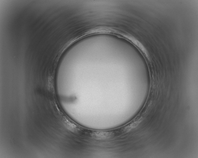 X0000073510953200608281704