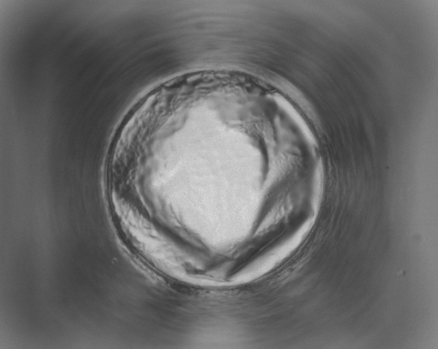 X0000073510958200608281704