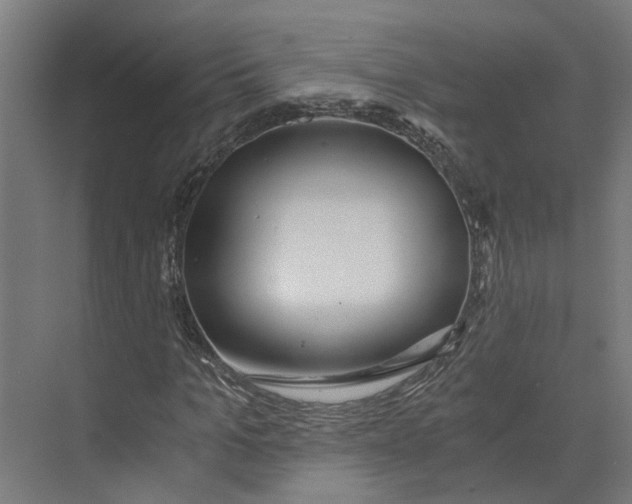 X0000073510965200608281703