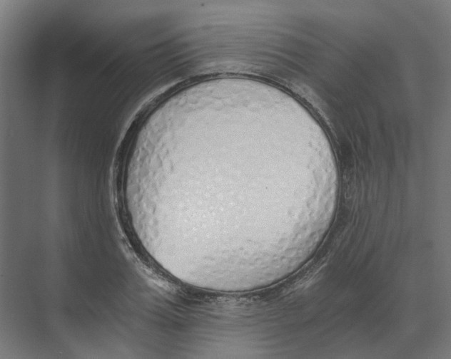 X0000073510987200608281702