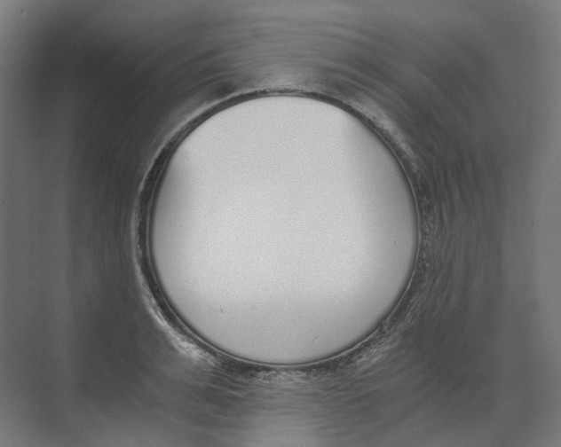 X0000073510991200608281702