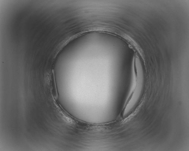 X0000073510993200608281702