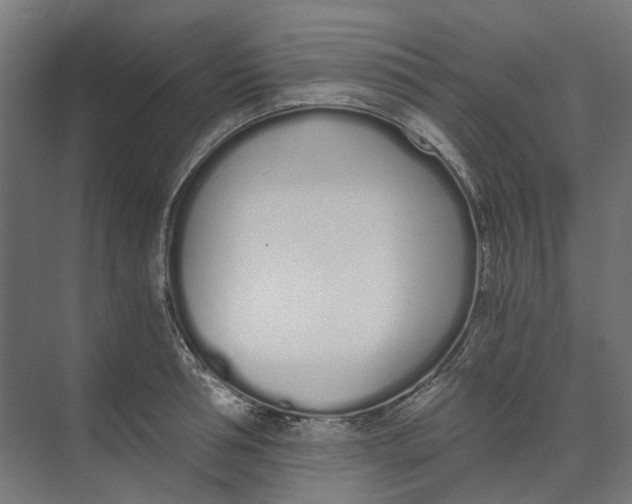 X0000073510994200608281702