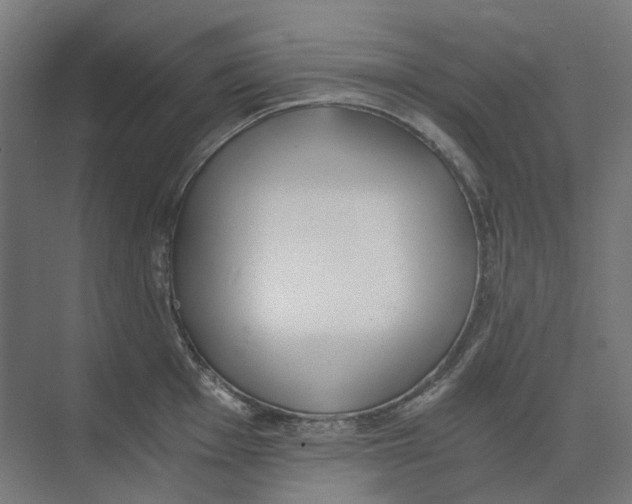 X0000073511001200608281702