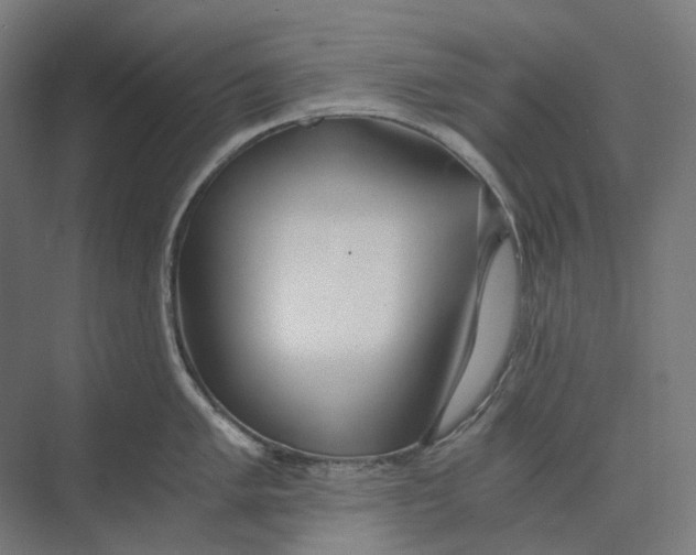 X0000073511005200608281702
