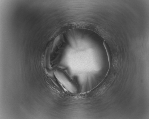 X0000073511010200608281701