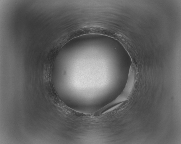 X0000073511014200608281701