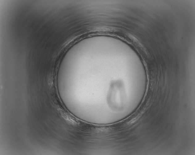 X0000073511017200608281701