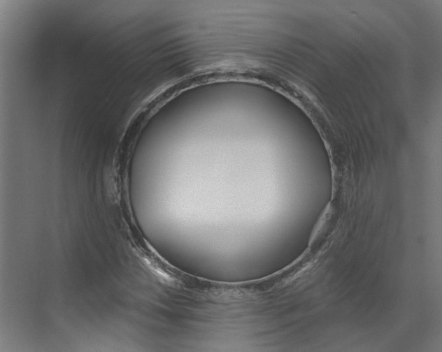 X0000073511018200608281701