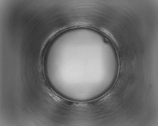 X0000073511027200608281702
