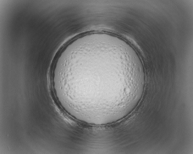 X0000073511032200608281702